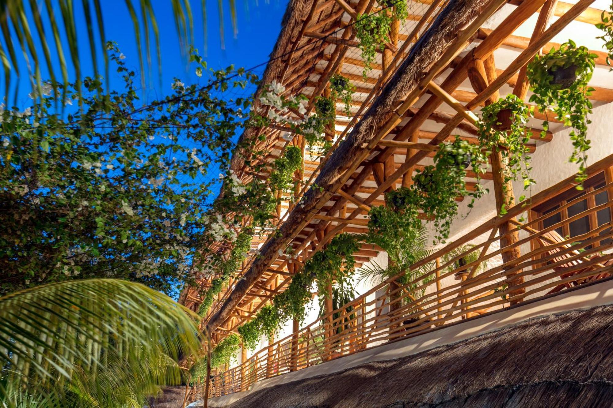 Готель La Palma Holbox Екстер'єр фото